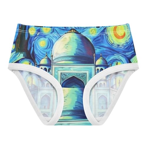 Starry Palace Blue Toddler Girls Underwear 2t Cotton Girl Panties Cute Bright Briefs Undies Kids