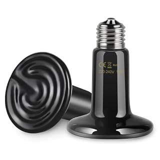 Akynite ampoules chauffantes céramique E27 100 W, lot de 2