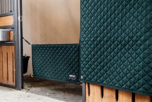 Devant de porte vert foncé lavable | Tapis de sol absorbant et grattant extérieur - 3