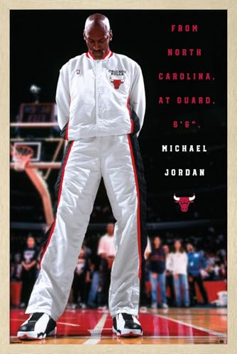 Michael Jordan - Chicago Bulls Introduction Wall Poster, 22.4L" x 14.7W", Blonde Framed Version