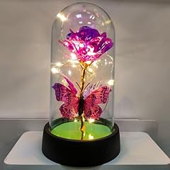 Colored Gold Rose Warming Lamp