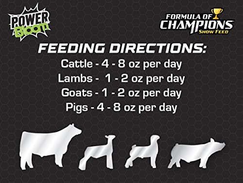 Power Bloom 70% Fat Supplement for Show Pigs, Cattle, Sheep and Goats, 15 lb Bucket