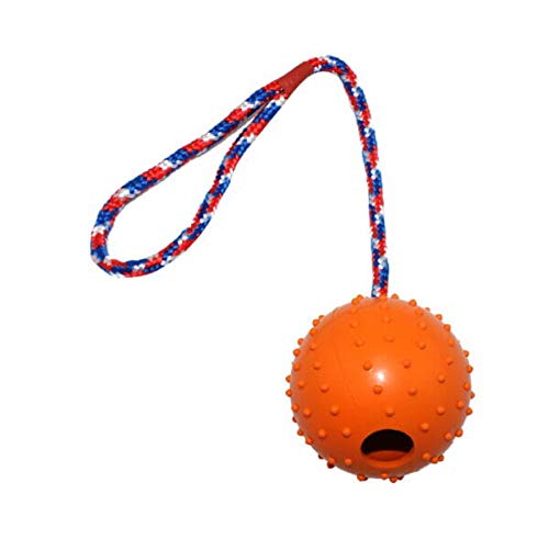 emily pets Dog Training Ball Rope Toys Ball Exercise and Reward Toy for Dogs for Chew Training Pull Throw Toy tug Toy Dogs Fetch Toys(Orange)
