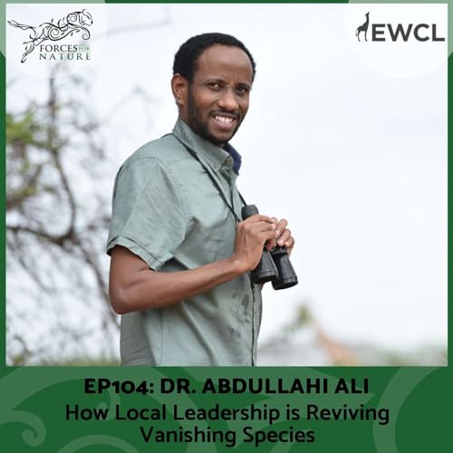 How Local Leadership is Reviving Vanishing Species with Dr. Abdullahi Ali, Ep.104 copertina