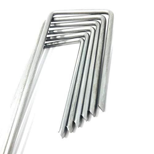 hV[gp Œs 15cm J^AJ[ lH V[g s R^ }`  (TOO{)