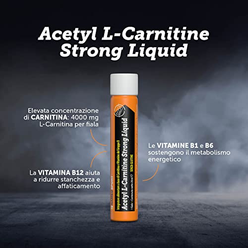 NamedSport Acetyl L-Carnitine Strong