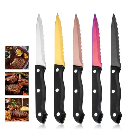 ONUIFIKE Silverware Set, 1/4/6/8/10/12 Pieces Steak Knives Stainless Steel Plastic Handle Table Knife Hotel Serrated Steak Knife, Home Cutlery Flatware Set(Silver,1 Piece)