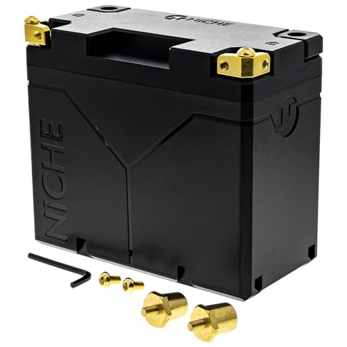NICHE Lithium Battery YTX20-BS/HL 12V 7Ah 420A for ATV/MC