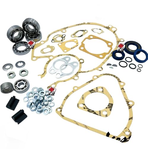 Distributore: LG-Motors KIT REVISIONE COMPLETO MOTORE Ape 50 PK 50 PK S 50 L - N - R 50 PK XL 50 PK XLS CONO 125 ET3 - PK - HP - APE PER CONO 19/20