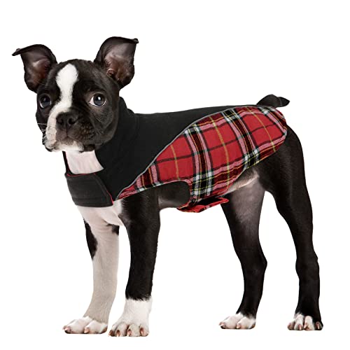 CITÉTOILE Hundemantel Mit Geschirr - Winddichte Winterjacke Für Hunde