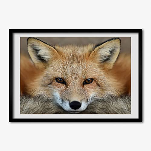 Tableau décoratif Renard pour salon - Grand cadre en bois moderne 70x50 cm