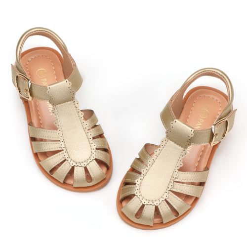 Image of PANDNAINJIA Toddler Girls Sandals T-Strap Dress Summer Shoes