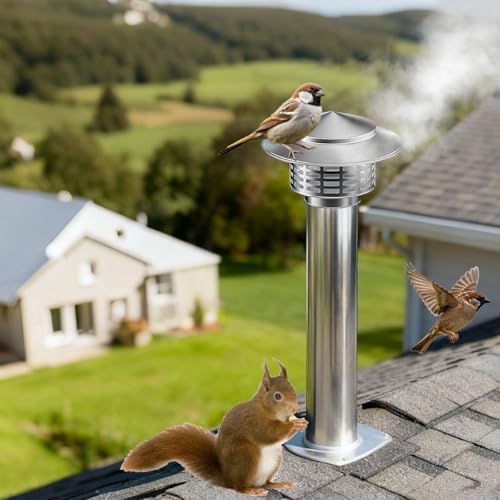 304 Stainless Steel Chimney Cap, 1.6 2 2.5 3 3.9 4.3 6.3 in Round Chimney Top Protector with Screen, Fireplace Rain Cover for Exterior Fireplace Flue, Furnace Vent (Silver)(3.0\ 