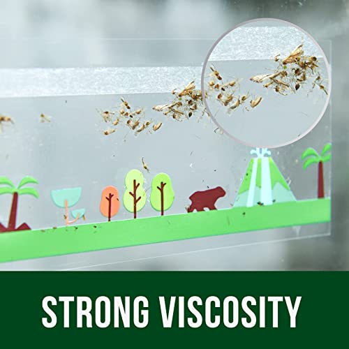 Garsum 3162 64 Pack Window Fly Traps Indoor,Fly Paper Sticky Bug Strips thumb #3