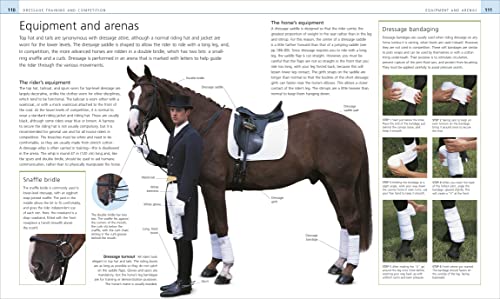 Complete Horse Riding Manual #TOP6