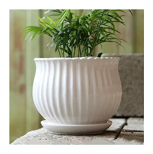 Pot de fleur en céramique blanche avec plateau taille S - 2