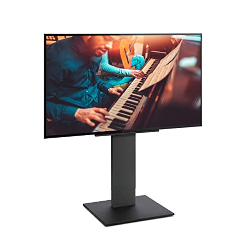 EQUALS イコールズ テレビ台 自立型テレビスタンド WALL V5 ロータイプ 32~80V対応 サテンブラック