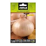 Semillas Batlle Semillas Hortícolas - Cebolla Dulce de Fuentes - Batlle