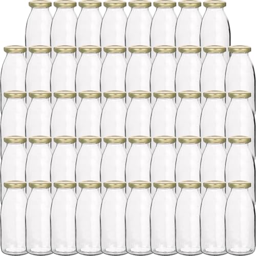 Flaschenland 48er Glasflaschen Set mit goldenen Schraubverschlüssen
