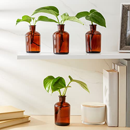 6 Pack Small Glass Vases For Centerpieces, Amber 7.5 Oz Propagation Jars For Flowers, Table Centerpieces, Apothecary, Home Decor (2.8 X 5 In) #TOP1