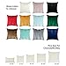 Topfinel Cream White Decorative Throw Pillow Covers 18 X 18,Soft Couch Living Room Sofa Velvet Cushion Case Pack of 2,Christmas Home Decor for Bedroom