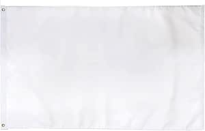 Amazon.com : FLAGPARK Solid White Flag 3x5 Feet Plain White Flags Pure ...