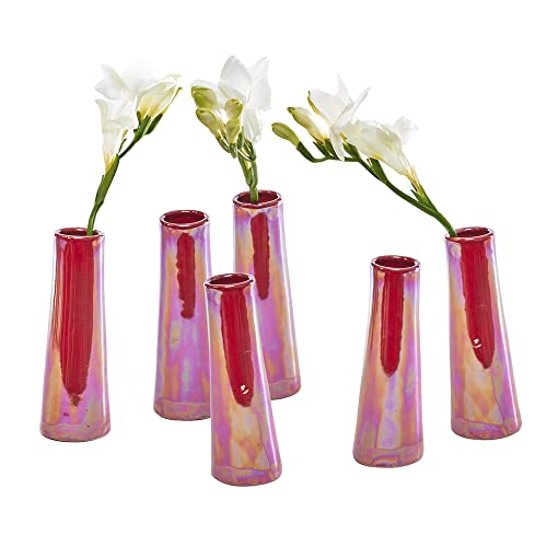 Chive - Set Of 6 Galaxy, 1.5" In Wide 5.5" Tall Small Cylinder Ceramic Bud Flower Vase, Unique Single Flower Decorative Floral Vase For Home Decor, Bulk (Ginger Red) #TOP23
