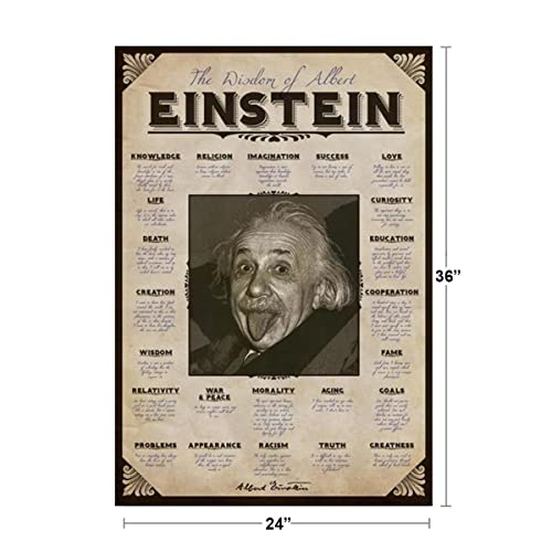 Wisdom Of Albert Einstein Famous Quotes Cool Wall Decor Art Print Poster 24X36 #TOP2