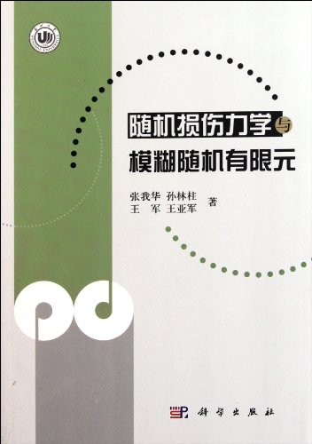 Stochastic Damage Mechanics and Fuzzy Stochastic Finite Element Paperback – 1 August 2011