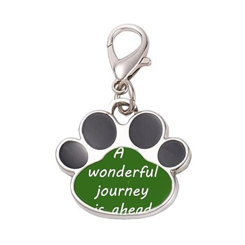 DIYthinker?A Wenderful Journey Is Ahead Pet Tag Keychain Dog Cat ID