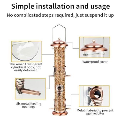 Comederos para pájaros silvestres transparentes para proteger semillas 7