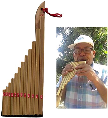 Cozinest Thai Wote Panpipe Bamboo Instrument Traditional Musical Isan Laos Pan Flute 12 Pipes #TOP2