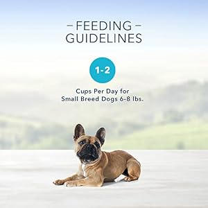 Blue Buffalo Delights Natural Adult Small Breed Wet Dog Food Cups, Pate Style, Porterhouse Flavor in Savory Juice 3.5-oz (Pack of 12) Blue Buffalo Delights Natural Adult Small Breed Wet Dog Food Cups, Pate Style, Porterhouse Flavor in Savory Juice 3.5-oz (Pack of 12)