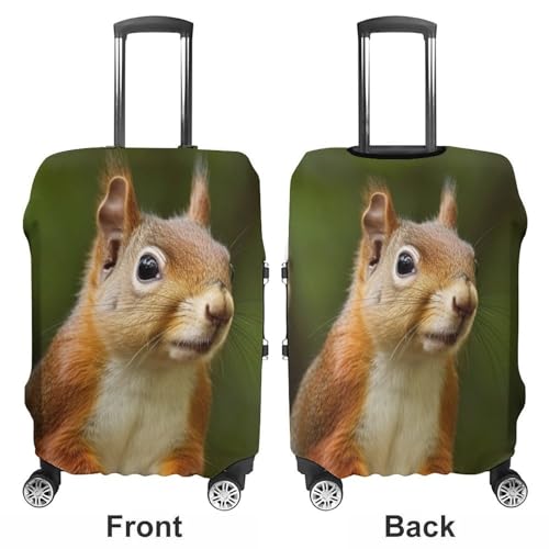 Carry on Luggage Cover Squirrel Suitcase Covers for Luggages Tsa Approved Travel Luggage Sleeve Protector Elastic Suitcase Protector Anti-Scratch Washable Fits 19-30 Inch Case -L3