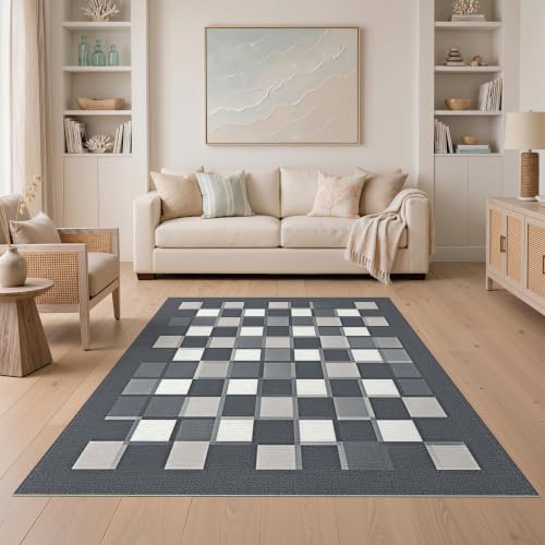 Flatwoven High Traffic Area Rug 5x7, Non Slip Dirt Trapper Door Mat Grey Super Absorbent Dog Rug Clean Paws Carpet, Non Slip, Stain Resistant, Washable Area Rugs for Living Room, Bedroom (Gray, 5x7)