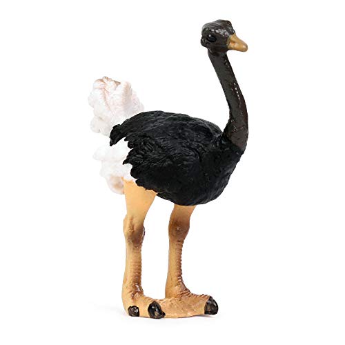 Sculptures autruche africaine KELIEQA pour enrichir une collection d'animaux