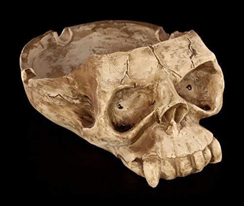 Figuren Shop Gmbh Tête de Mort Cendrier Cover