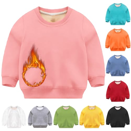 Youth Kids Fall Sweater Long Sleeve Pullover Sweatshirts Boys Girls Solid Thick Crew Neck Pullover Tops Warm Casual
