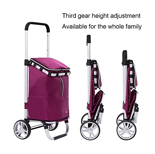 QUANLI Zusammenklappbarer Einkaufstrolley, Teleskop-Einkaufswagen mit 2 Rädern und großer wasserdichter Tasche, robuster… – Bild 4