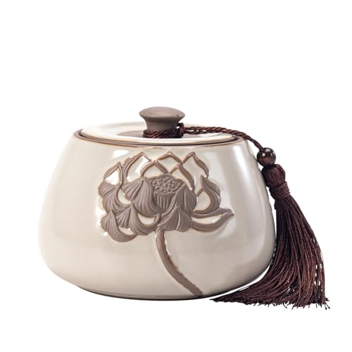   LjX^[ Z~bNX ʗe ۑe   LfBW[ g R[q[  [ (X^C3)