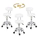 Bonnlo Adjustable Rolling Hydraulic Swivel Chair Stool with Backrest, 360-Degree Rolling Wheel, for Therapist Beauty Spa Hairdressing Massage Manicure Tattoo, White