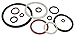 Dixon 2-1/2" Ethylene Propylene Gasket (250-G-EPR)