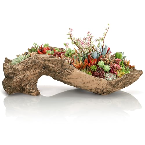 Pumtus Artificial Driftwood Planter, 16''L x 5.5''W x 5''H Sculpture