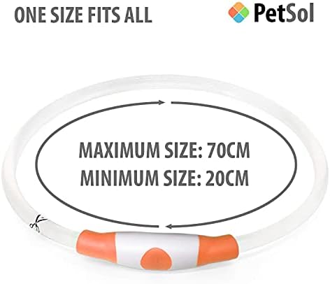 PetSol LED Dog Collar  USB Rechargeable Flashing Light Up Dog Collar. Fits Any Size Cat, Dog or Puppy - Small, Medium & Large. Ultra Bright Glow Safety Collar For Pets (Orange)