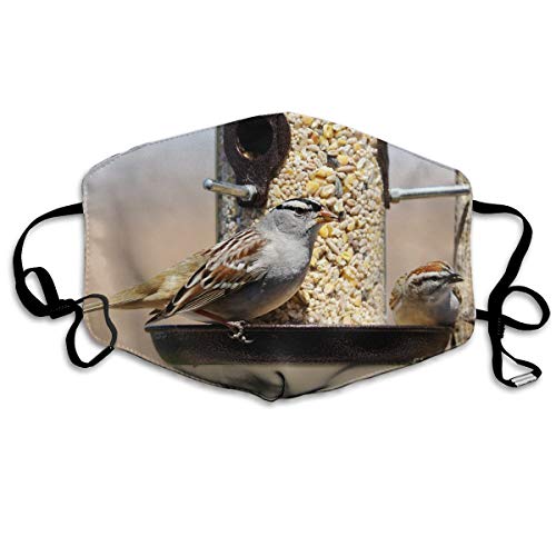 Fashion Face Cover Adjustable Elastic Band Hypoallergenic Face and Nose Cover for Pollen Smog Climbing (White-Crowned Sparrow, Zonotrichia)