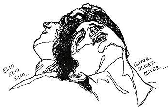 Magnet Elio and Oliver CMBYN Call me by Your Name line Art Magnetic Car Sticker Decal Bumper Magnet Vinyl 5".