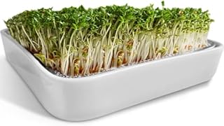 ZELLGUT® Sitko do rzeżuchy, miska do uprawy rzeżuchy, misa na kiełki, 12 cm, ceramiczna misa + sitko ze stali nierdzewnej, urządzenie do kiełkowania mikrozielonych, kiełków