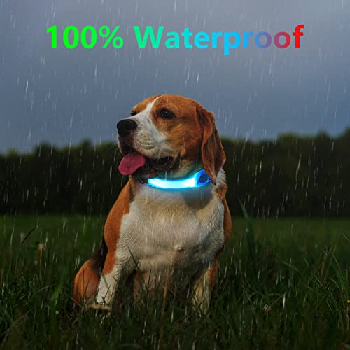 flintronic LED Leuchthalsband Hunde Halsband, Leuchtend Hundehalsband, Sicherheits LED Leuchtband für Hunde Katzen, LED Licht Blinklicht mit Klettverschluss, Helle Sicherheit für Die Nacht