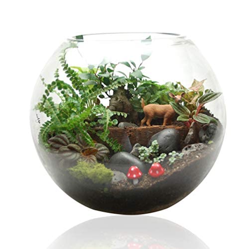 Shree Baake Bihari Ji Traders Crystal Clear Transparent Zig Zag Neck Bowl Aquarium, Fish Bowl, Glass Vase for Home/Office Decoration, Rust Resistant (6 inches) Without Collar (B0BPYHFRVM) Amazon Price History, Amazon Price Tracker