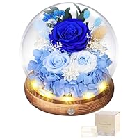 Amazon｜プリザーブドフラワー ガラスドーム 青い 枯れない花 本物の